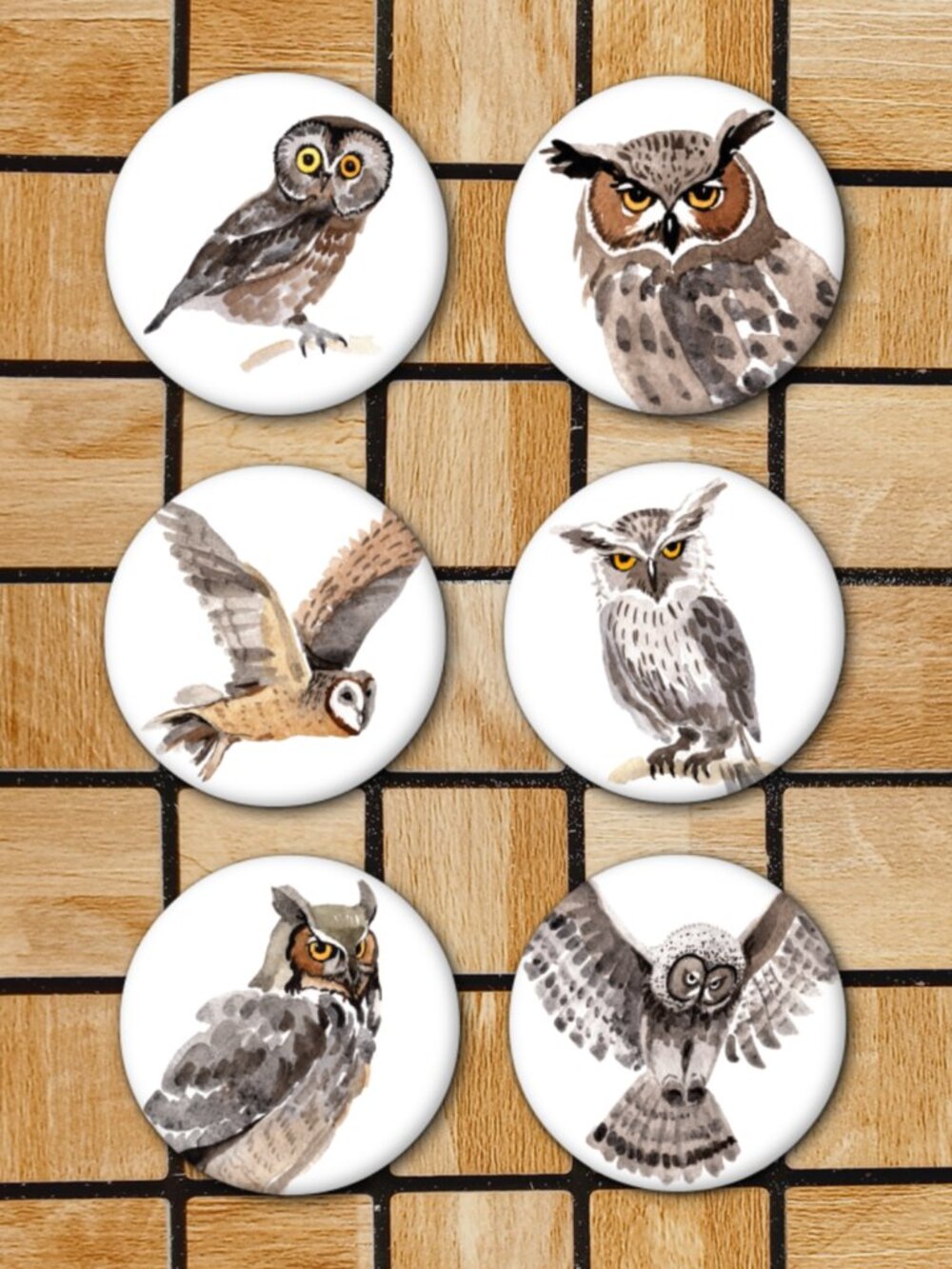 Watercolor Owl Fridge Magnets Set Of 6 Metal Magnets Home Office Kitchen School